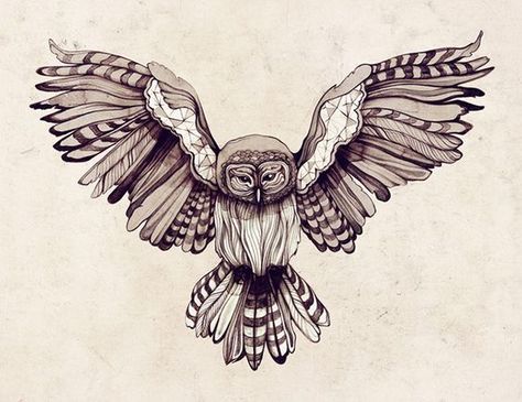 owl drawing. wings spread. stripes. black and white. Flying Owl Tattoo, Flying Owl, Petit Tattoo, Owl Tattoo Design, Owl Illustration, Geniale Tattoos, Owls Drawing, Charcoal Drawings, Owl Tattoo