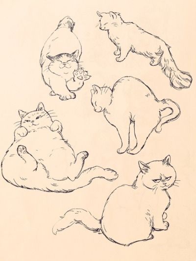 Bev Johnson, Cat Anatomy, Arte 8 Bits, Söt Katt, Cat Sketch, Cats Art, Arte Sketchbook, Sketchbook Art, Dessin Adorable