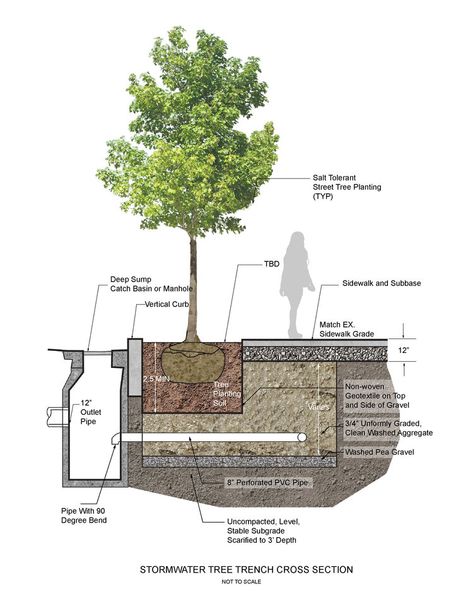 Street Landscape Design, Landscape Architecture Diagram, Landscape Details, Streetscape Design, Landscape Street, Landscape Design Drawings, Landscape Architecture Drawing, Urban Landscape Design, Street Trees