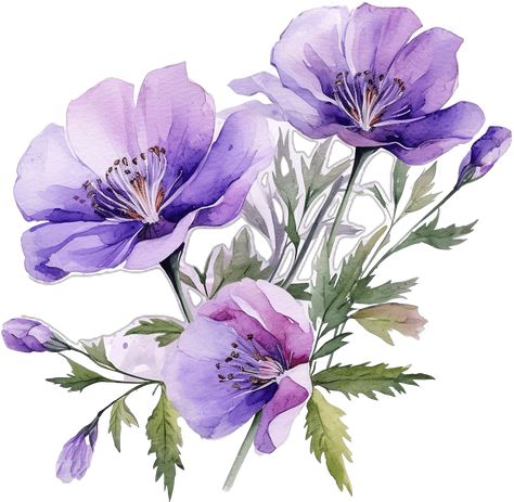 Free Flower Clipart, Purple Watercolor Flowers, Purple Flower Background, Purple Png, Transparent Watercolor, Flowers Purple, Flower Watercolor, Flowers For You, Purple Watercolor