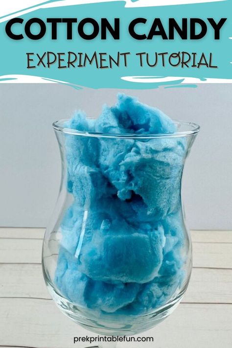 Your students will love this simple cotton candy experiment. Science Experiments With Candy, Candy Science Experiments For Kids, Cotton Candy Science Experiment, Cotton Candy Crafts For Kids, Cotton Candy Craft, Cotton Candy Crafts, Ocean Animals Preschool, Candy Science Experiments, Candy Experiments