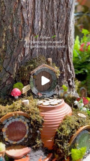 Shavonne Flegel on Instagram: "DIY Fairy Garden, for Hobbits. 👣🌿  Every year I build a fairy garden in memory of my niece Abigale. This year I was inspired to use our tree and make a fairy “shire.” 🌱  Gardens hold so many memories, and I always try to plant my garden with special hidden easter eggs in honour of the people we love. 🤍   Do you grow a memory garden? Comment down below and tell me if you do, what does yours look like?  Follow @plantprojectcanada for more Gardening inspiration, tips, & tricks, and Follow @onceuponabungalow for more Home & DIY!  #PlantProjectCanada #fairygarden #hobbit #hobbitcore #theshire #lordoftherings #hobbiton #lotr #thehobbit #fairy #faries #patioinspo #patio #patioinspiration #garden #gardening #backyard #gardeninspiration #plantsplantsplants #garden Shire Inspired Garden, Hobbit Fairy Garden, Shire Garden, Hobbit Garden, Memory Garden, Make A Fairy, Diy Fairy Garden, Gardening Backyard, Gardening Inspiration