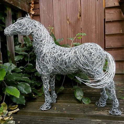 Wire Horse, Robin Wight, Chicken Wire Sculpture, Sculptures Sur Fil, Chicken Wire Art, Barb Wire, Wire Art Sculpture, Wire Sculptures, Dog Sculpture