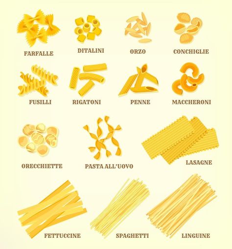 Italian pasta types or sorts vector icons Pasta Types, Easy Learning, Italian Pasta, Rigatoni, Linguine, Art Clipart, Orzo, Vector Icons, Pasta