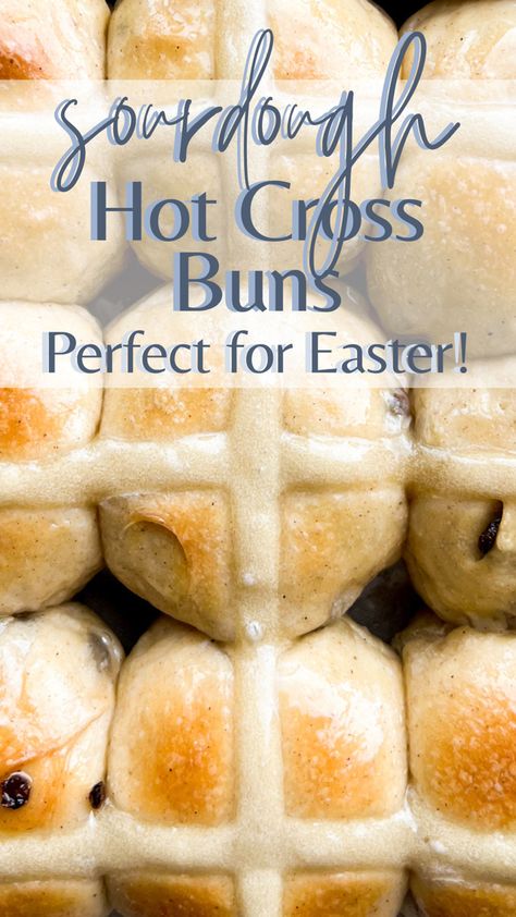 These fluffy homemade hot cross buns are the perfect sourdough bread recipe for Easter! They are lightly spiced, sweet, filled with plump raisins, and made with sourdough starter. Sourdough Hot Cross Buns are decorated with a cross to symbolize the crucifixion of Jesus Christ, making them perfect for a traditional Easter celebration. Sourdough Easter Rolls, Sourdough Hot Cross Buns Easy, Sourdough Bread Rabbit, Sourdough Discard Hot Cross Buns, Cross Sourdough Scoring, Sourdough Easter Desserts, Easter Sourdough Bread, Easter Sourdough, Sourdough Hot Cross Buns