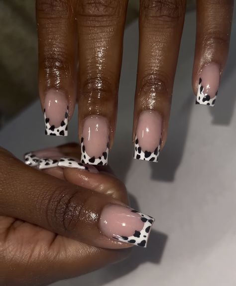 Nail Inspo Cow Print, Cow Print Toe Nails, Beginner Nail Designs, Cow Print Nails, Black Gel Nails, Cheetah Print Nails, 2023 Nail, Cow Nails, Acrylic Nail Powder