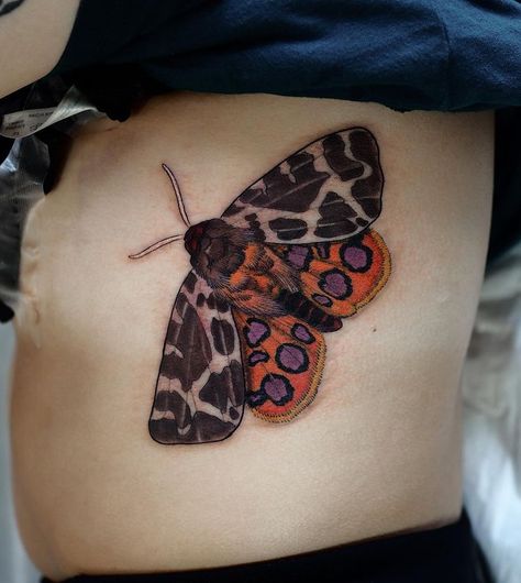 Izzy Mulkern (@izzymulkern1995) • Instagram photos and videos Tiger Moth Tattoo, Moth Tattoo Color, Colorful Moths, Tiger Moth, Tattoo Color, Moth Tattoo, A Tiger, Simplistic Tattoos, Color Tattoo