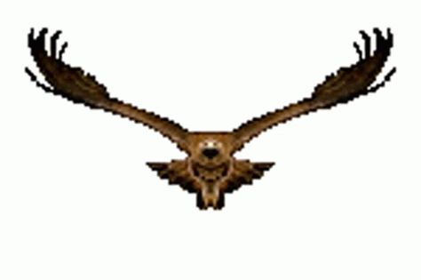 Eagle Bird Sticker - Eagle Bird Flying - Discover & Share GIFs Eagle Animation, Eagle Mask, Running Gif, Wolf Running, Bird Flying, Eagle Bird, Birds Flying, Animated Gifs, Animated Gif