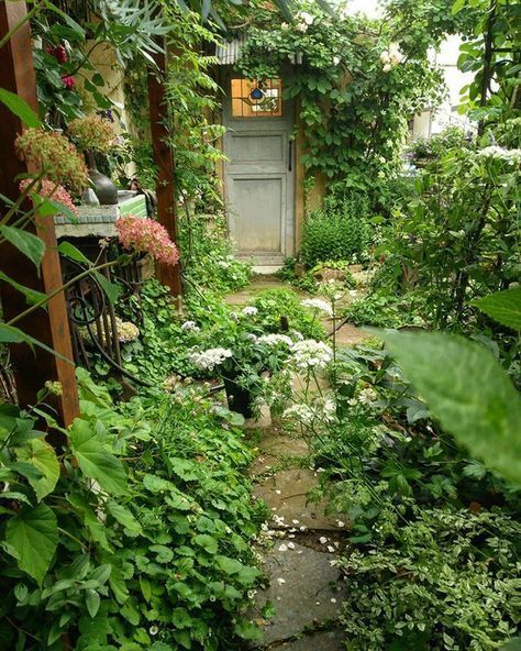 Cottage In The Woods, Plants And Flowers, Nature Aesthetic, Pretty Places, Dream Garden, My Dream Home, Land Scape, Future House, Garden Arch