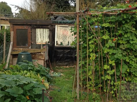 Cottage In The Woods, Earthship, Cabins And Cottages, House Goals, Go Green, Cabins In The Woods, House Inspo, Garden Planning, Future House