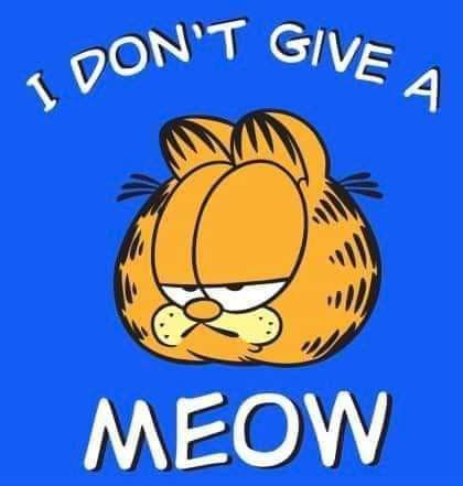 Garfield Pfp, Silly Creature, Fat Orange Cat, Garfield Pictures, Garfield Images, Garfield Cartoon, Garfield Cat, Garfield Comics, Hate Mondays