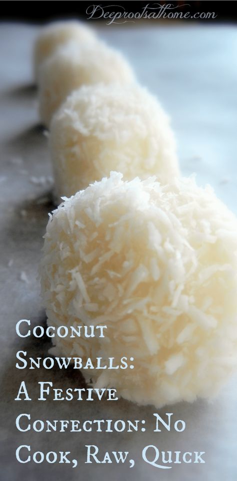 Shredded Coconut Recipes, Christmas Holiday Treats, Christmas Keto, Hotel Christmas, Dessert Christmas, Coconut Snowballs, Coconut Balls, Coconut Desserts, No Cook