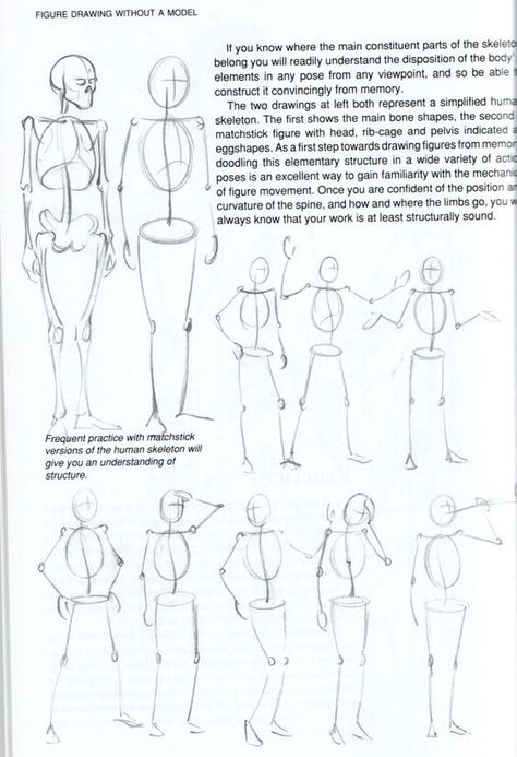 Learn To Draw People, Figure Drawing Tutorial, Male Figure Drawing, Human Body Drawing, Skeleton Drawings, Draw People, Stick Figure Drawing, Body Drawing Tutorial, Human Figure Drawing