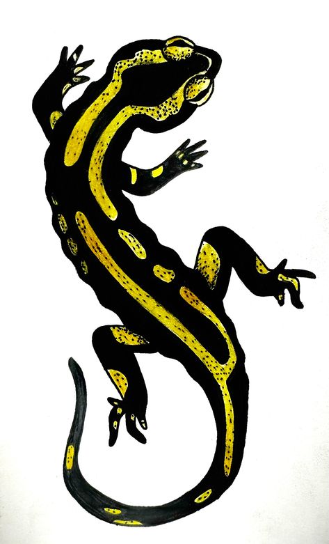 Tiger Salamander Tattoo, Fantasy Salamander Art, Giant Salamander Art, Olm Salamander Art, Spotted Salamander Tattoo, Fire Salamander, Tattoo Apprentice, Black And Yellow, Yours Truly