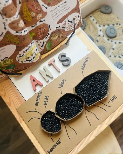 Ants + Shapes 🐜 This diy ant sensory tray was so fun + easy to create! We learned facts about ants + their body anatomy. Also incorporated shape matching, using our painting rocks + marker! 🖊️ 🐜🐜 this was our first ant activity! Have you created an activity before? #learningthroughplay #sensoryactivity #activitiesforkids #activitesfortoddlers #montessoritoddler #sensoryplayideas #sensoryplayfortoddlers #toddleractivites Preschool Ant, Ant Activities, Ants Activities, Sensory Play Toddlers, Ant Art, Sensory Tray, Learn Facts, Painting Rocks, Shape Matching