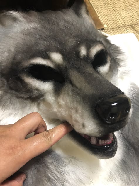 Husky Therian Mask, Black Wolf Therian Mask, Wolf Therian Mask Ideas, Therian Mask Ideas Wolf, Realistic Wolf Mask, Wolf Mask Ideas, Wolf Therian Mask, Fursuit Photography, Therians Mask