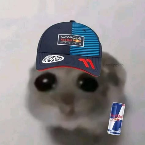 f1 en TikTok Red