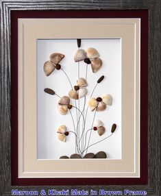 See Shells Craft, See Shell Art, Rock And Shell Art, Shell Pictures Art, Seashell Art Diy Wall Hangings, Seashell Art Diy Ideas, Shell Pictures Ideas Seashells, Sea Shell Art Diy, Sea Shells Art