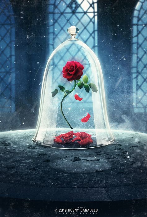 ArtStation - THE MAGIC ROSE-FANTASY, Hosney Qanadelo Rose In A Glass, The Beast, Mobile Wallpaper, Beauty And The Beast, The Magic, Water, Glass, Red, Beauty