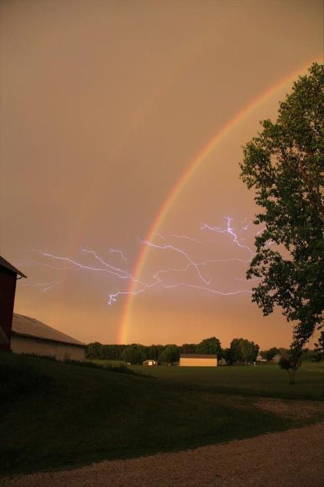 Carlos Castaneda, Chimamanda Ngozi Adichie, Antony Gormley, Double Rainbow, Cicely Mary Barker, Perfectly Timed Photos, Rainbow Aesthetic, Billie Holiday, Perfect Timing