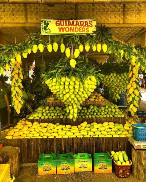 Mango Display, Fruit Bucket, Mango Festival, Fruit Festival, Western Visayas, Vegetable Market, Travel Philippines, Produce Displays, Brave And The Bold