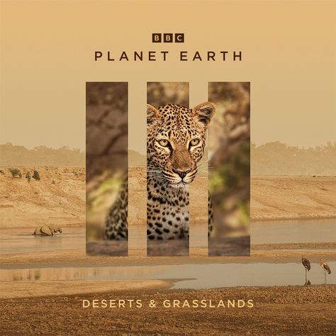 We're excited to reveal the beautiful artwork for #PlanetEarth3 🌍 🐘 The third instalment premieres this Sunday on BBC One and BBCiPlayer a… | Instagram Travel Magazine Layout, Catalog Design Layout, Nature Tourism, Dino Park, Bbc Earth, Funky Fonts, Cute Date Ideas, Animal Poster, Studio Ghibli Art