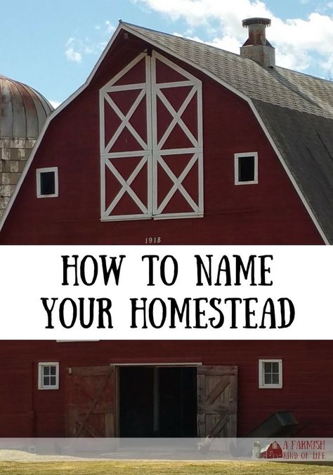 Naming your homestead adds a certain amount of charm to your place. But how does one go about choosing a name that fits? Here are a few tips... Naming Homestead, Naming Your Farm, Homestead Names Ideas, Naming Your House, Farm Names Ideas, Farm Name Generator, Farm Names, Ranch Names, Small Backyard Design Ideas