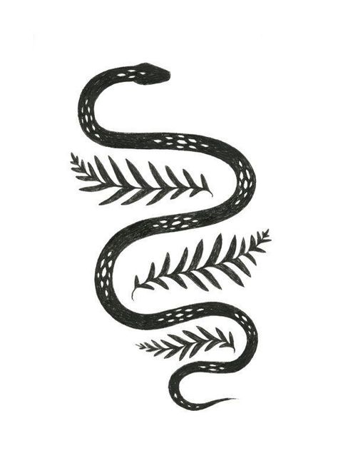 Snake & fern inkjet print of pen drawing 5x7 - - #Uncategorized Are you looking for a professional service? Look no further! Snake Illustration, Snake Drawing, Snake Art, Desenho Tattoo, Snake Tattoo, Arte Inspo, A Snake, Art And Illustration, Skin Art