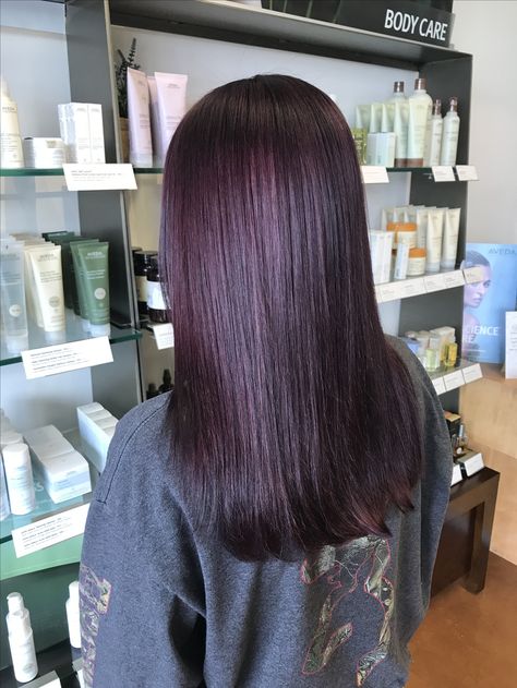 Dark Purple Hair Without Bleach, Dark Plum Brown Hair Color, Purple Tinted Hair Brown, Chocolate Cherry Brown Hair Highlights, Purple Tinted Brown Hair, Purple Hair Without Bleach, Purple Without Bleach, Purple Hair Without Bleaching, Hair Color Without Bleach