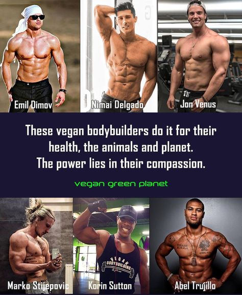 Beautiful, beautiful men. And vegan. My Lord. Vegan Bodybuilder, Vegan People, Reasons To Be Vegan, Famous Vegans, Vegan Gains, Vegan Facts, Vegan Body, Vegan Bodybuilding, Vegan Memes