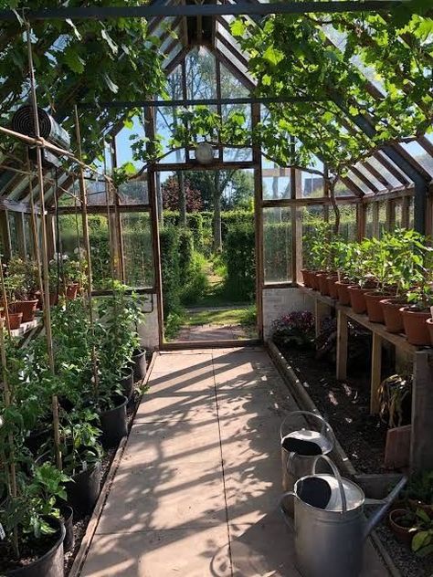 Mount pallets on a wall to store and organize garden tools. Easy access and neat organization. Relevant Hashtags Here are some hashtags to use when sharing your pallet gardening projects on social media:  #PalletGardening #UpcycledGarden #DIYGarden #GardeningWithPallets #SustainableGardening #UrbanGardening #VerticalGarden #RaisedBeds #GardenDIY #CompostBin #RecycledMaterials #GardenInspiration #EcoFriendly #GreenLiving #GardeningHacks Pallets For Gardening, Wooden Greenhouse, Diy Greenhouse Plans, Monty Don, Outdoor Greenhouse, Pallet Garden Furniture, Greenhouse Interiors, Upcycle Garden, Home Greenhouse