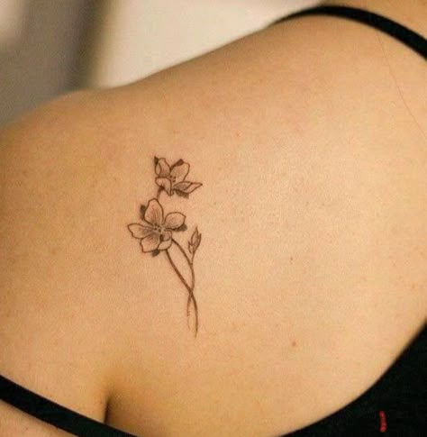 Tattoo of a Malati flower on the shoulder. Tattoos Back Shoulder Women, Small Shoulder Tattoos For Women Flowers, Flower Tattoo Upper Thigh, Indonesian Flower Tattoo, Shoulder Blade Flower Tattoo, Upper Back Shoulder Tattoo, Back Of Shoulder Tattoos For Women, Back Shoulder Tattoos For Women, Small Shoulder Tattoo