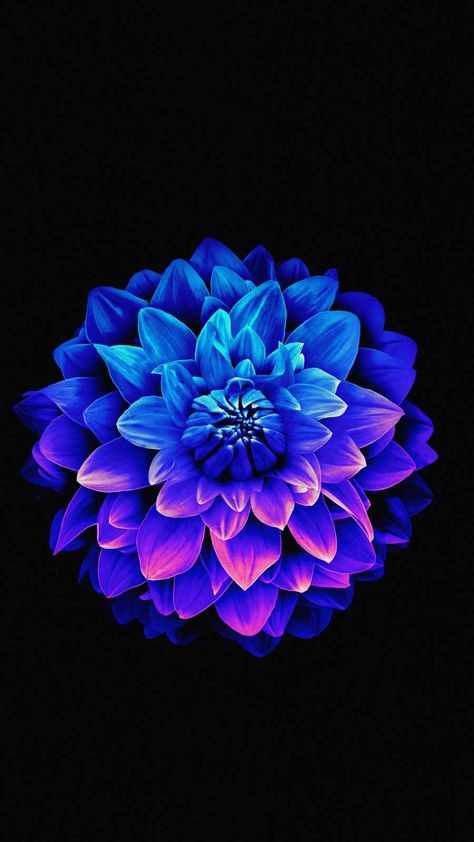 Super Amoled 4k Wallpaper, Super Amoled 4k Wallpaper Dark, Iphone 6 Flower Wallpaper, Amoled 4k Wallpaper, Laptop Case Stickers, 4k Wallpaper Iphone, Purple Flowers Wallpaper, Amoled Wallpapers, Iphone Wallpaper Video