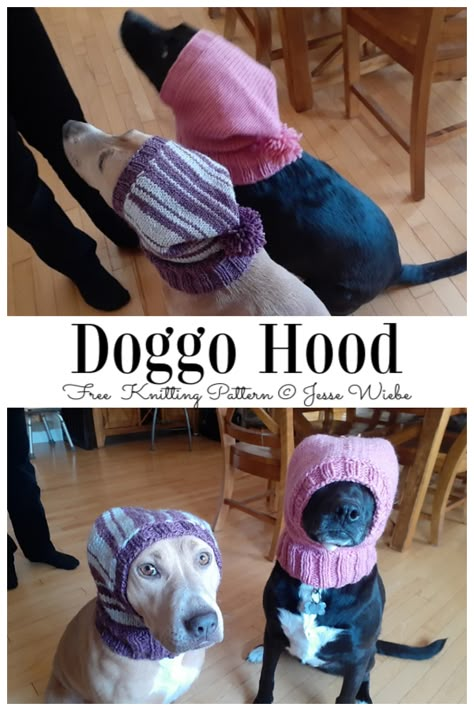 Dog Hats Knitted, Dog Knitted Hat Pattern, Knit Dog Snood Free Pattern, Free Dog Snood Knitting Pattern, Crochet Dog Hood Free Pattern, Knit Hats For Dogs Pattern, Free Knitted Dog Hat Patterns, Hats For Dogs Pattern, Knit Hat For Dog