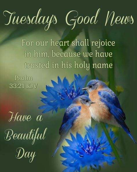 Beautiful Bible Quotes, Tuesday Greetings, Thursday Blessings, Morning Scripture, Tuesday Blessings, Good Morning Tuesday, Psalm 33, All Things Work Together, Daily Blessings