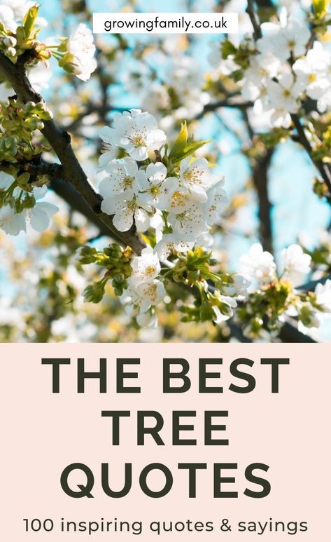 A bumper collection of 100 beautiful, inspiring and uplifting tree quotes, captions and proverbs. Perfect for your social media posts, or simply a daily dose of inspiration from the natural world. #growingfamily Tree Quotes Inspirational Short, Tree Sayings, Quotes About Trees, Tree Captions, Gooseberry Tree, Roots Quotes, Tree Of Life Quotes, Nature Quotes Trees, Family Tree Quotes