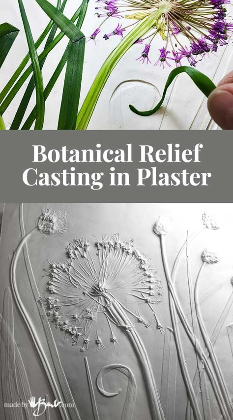 Botanical Relief Casting in Plaster - Made By Barb - easy nature designing Clay Flower Art, Plaster Projects, Bas Relief Art, Plaster Casting, Plaster Relief, Cement Ideas, Cement Projects, Clay Plaster, Diy Plaster