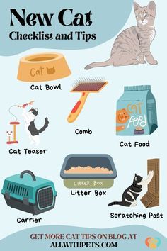 Cool History Facts, Cat Owner Hacks, Cat Checklist, Kitten Care Tips, Kitty Tips, Cat Owner Tips, First Time Cat Owner, Best Cat Breeds, Cat Behaviour