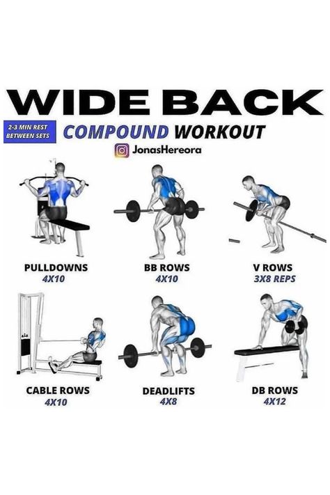 Compound Chest Exercises, Chest Compound Exercises, Gym Workouts Shoulders Men, Gym Workouts Back Men, Compound Back Workout, Back Compound Exercises, Back Program Workout, Mens Back Workout Gym, Whole Back Workout