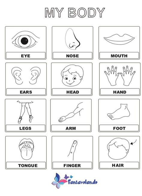 A set of 10 fun and interactive worksheets to help children learn about their bodies. Topics include: body parts, senses, healthy habits, and more. Perfect for parents, teachers, and Body Parts Worksheet For Kids, Parts Of Body Activities For Preschool, Body Parts For Kids Worksheets, Parts Of Body For Kids, Body Parts Activities For Toddlers, Body Parts Activity For Kindergarten, Body Parts Worksheet Kindergarten, Parts Of The Body Worksheets Preschool, Parts Of Body Worksheet