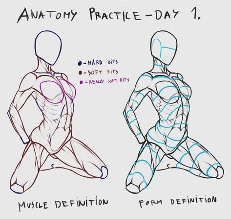 Body Anatomy Practice, Anime Body Anatomy, Pose Reference Drawing Female, Practicing Anatomy, Anatomy Pose, Sketch Anatomy, Pose Ref, Anatomy Practice, Practice Drawing