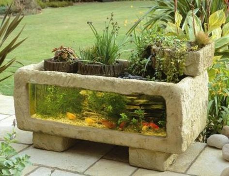 I'm gonna make 1 of these--someday!  Concrete aquarium Outdoor Fish Tank, Tropical Fish Tanks, Aquarium Ideas, Water House, Aquaponics System, Unique Interior Design, Diy Outdoor Decor, Growing Fruit, Aquariums