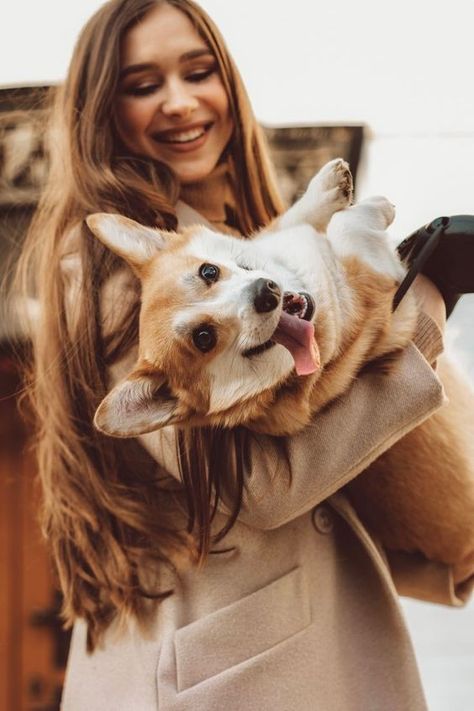 Tails of Joy: Dogs Photoshoots That Wow Pose With Pet, Dog And Human Photography, Cute Dog Photoshoot Ideas, Fall Photoshoot With Dog, Corgi Photoshoot, Photoshoot With Pets, Dog Owner Photoshoot, Pet Photography Ideas, Dogs Photoshoot