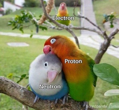 Physics Jokes, Biology Memes, Nerdy Jokes, Physics Memes, Physics Humor, Nerdy Humor, Studying Memes, Science Puns, Bad Man