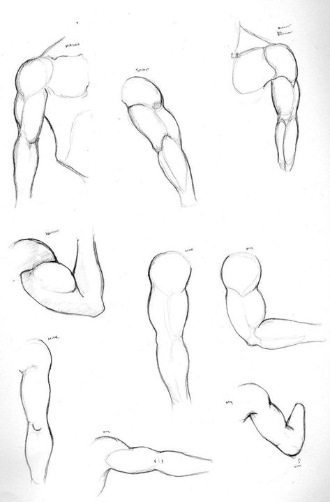 Arm Drawing, Human Anatomy Drawing, Body Drawing Tutorial, Seni Dan Kraf, Hand Drawing Reference, Human Figure Drawing, Human Anatomy Art, Human Drawing, Anatomy Sketches