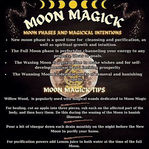 🌕 Dive into the mystical realm of Moon Magick with Artemis, the ancient goddess of the moon! 🏹✨ Discover: - 🌟 How Artemis influences lunar energies - 🌿 Rituals to honor her and tap into her power - 🌌 Ways to align with the phases of the moon for manifestation - 🪄 Secrets of the lunar cycle for spiritual growth Ready to embark on your celestial journey? 🔮 #MoonMagick #Artemis #spellwork #witchcraft101 #babywitch #beginnerwitch101 #beginnerwitch #witchcraft #spell #protectionspell #beginnersp... Paganism Spells, The Phases Of The Moon, Moon Magick, Goddess Of The Moon, Ancient Goddesses, Phases Of The Moon, Baby Witch, Lunar Cycle, Protection Spells