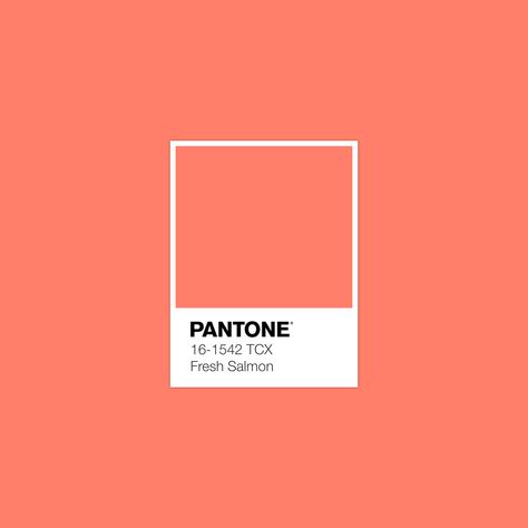 #Pantone Fresh Salmon #luxurydotcom Pantone Orange, Peach Echo, Pantone Swatches, Pantone Palette, Pantone Colour Palettes, Yoga Branding, Pantone Colors, Color Psychology, Colour Board