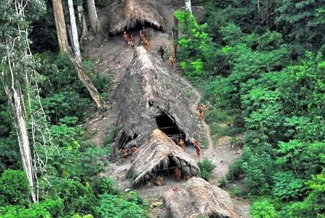 North Sentinel Island: Home To Isolated Indigenous Tribe Since 60,000 Years North Sentinel Island, Amazon Tribe, Living In Brazil, Indigenous Tribes, Amazon Rainforest, People Of The World, Rare Photos, Bolivia, Aerial View