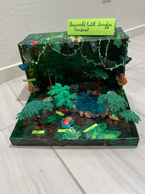 Shoe Box Art Projects, Shoe Box School Project Ideas, Shoe Box Set Design Project, Tropical Rain Forest Shoe Box Project, Diorama Habitat, Shoe Box Art, Shoe Box Diorama, Jungle Habitat, Biome Project