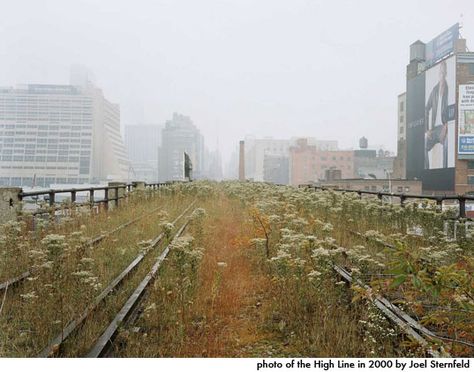 Joel Sternfeld, New York High Line, High Line Park, British Journal Of Photography, Photographers Gallery, Nyc Park, New York Times Magazine, Urban Park, Edward Hopper